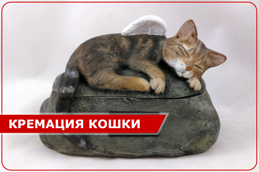 Кремация кошки в Москве